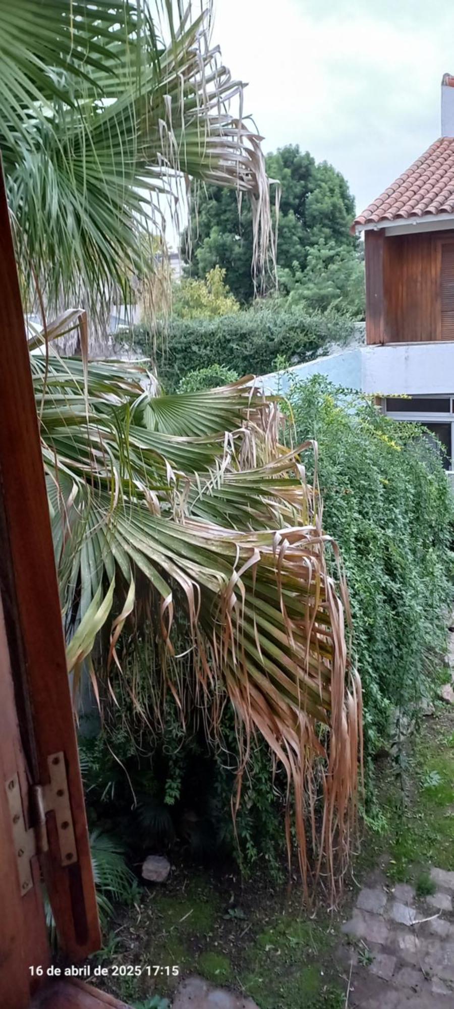 Ezeiza Bed And Breakfast Extérieur photo